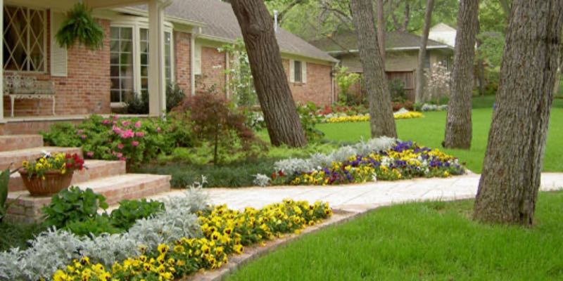 Landscape Design in Euless