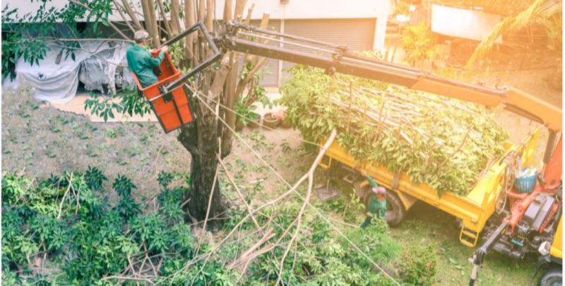 Storm Damage Cleanup in Euless