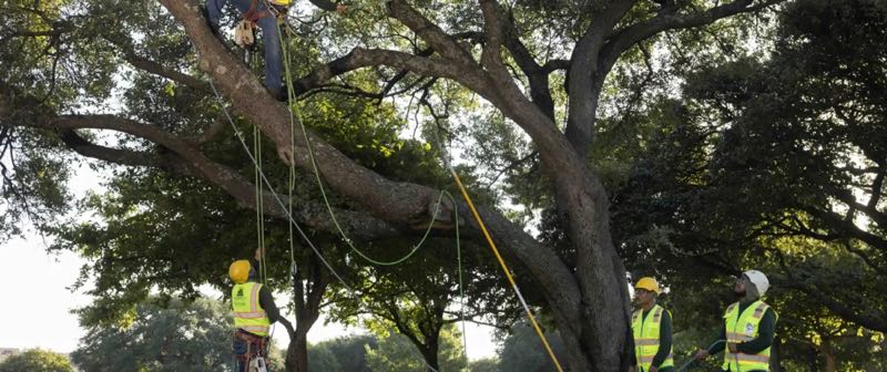 {SERVICE_NAME} project in Euless