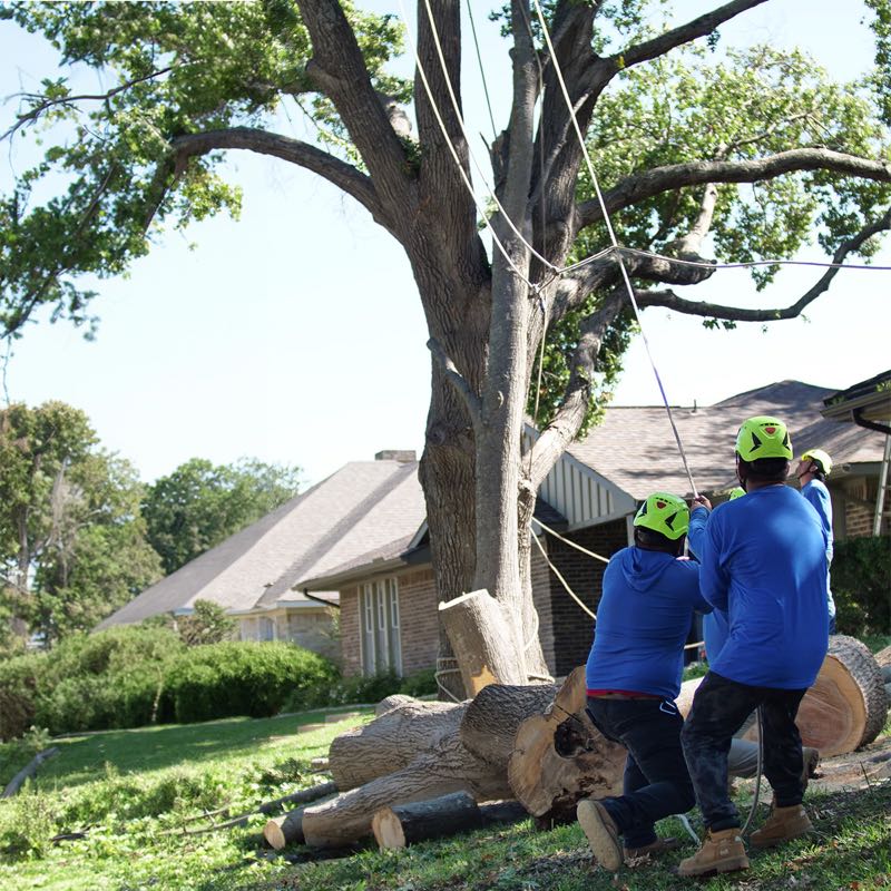 {SERVICE_NAME} project in Euless