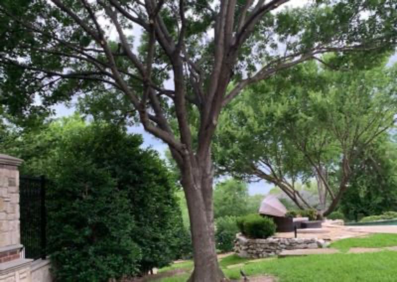 {SERVICE_NAME} project in Euless